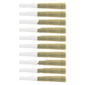 The Loud Plug - Exotic Gas Pre Roll