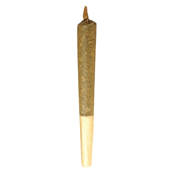 Buddy Blooms - Sativa Pre Roll