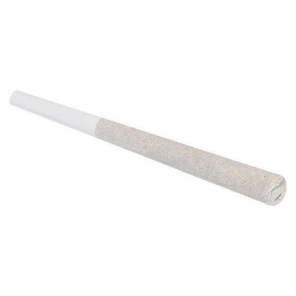 Broken Coast - Amnesia Haze Pre Roll