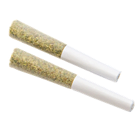 Color Cannabis - Mango Haze Pre Roll