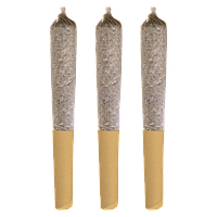 Potluck - Banana Cream Pre Roll