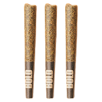 BOLD - Root Beer Float Pre Roll