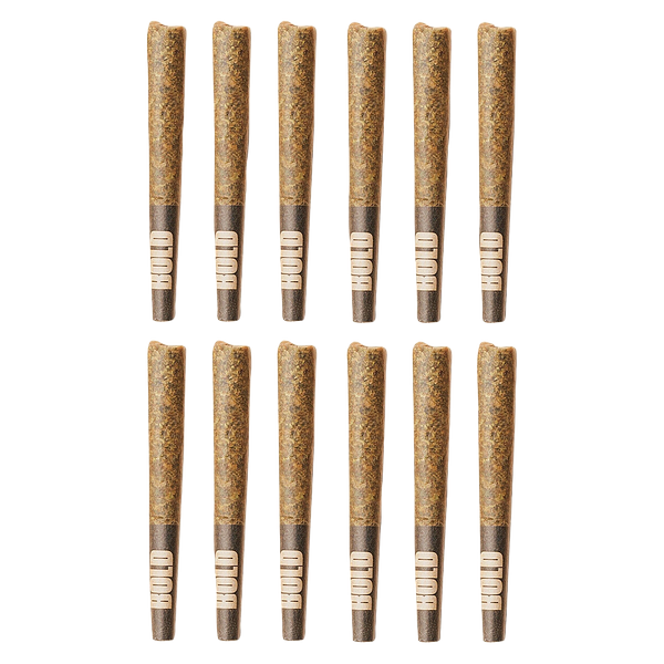 BOLD - Root Beer Float Pre Roll