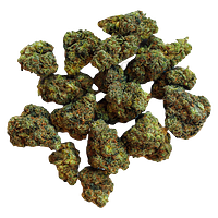 BOLD - Root Beer Float