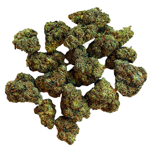 BOLD - Root Beer Float