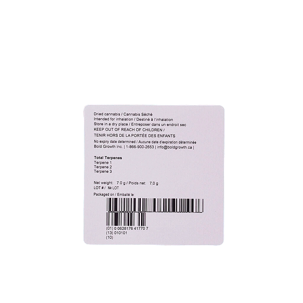 BOLD - Root Beer Float