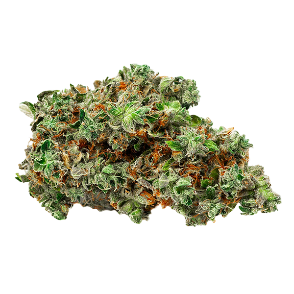 BOLD - Root Beer Float