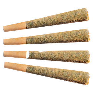 Fuego - Sunny Daze Pre Roll