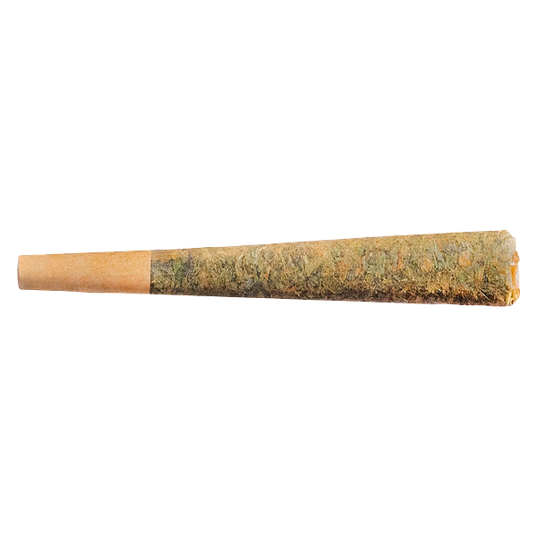 Fuego - Sunny Daze Pre Roll