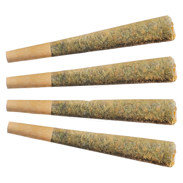 Fuego - Sunny Daze Pre Roll