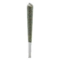 Simply Bare - Rosin Roll Infused Pre Roll