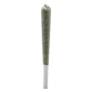 Simply Bare - Rosin Roll Infused Pre Roll