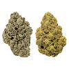 West Coast Craft - BC Craft Indica Vs. Sativa Discovery Pack thumbnail 1