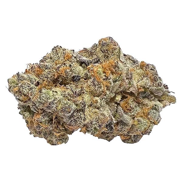 Cactus - Peachy Keen image 1