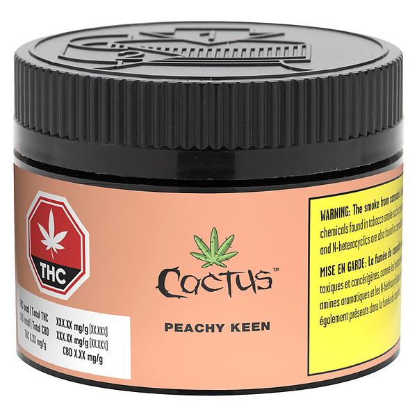 Cactus - Peachy Keen image 2