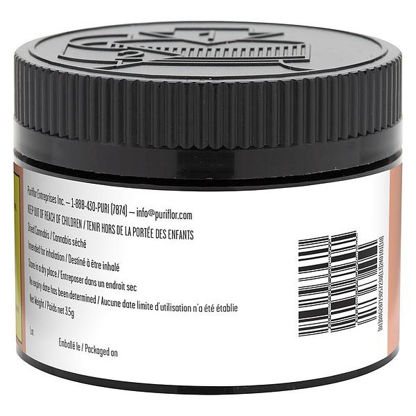 Cactus - Peachy Keen image 3