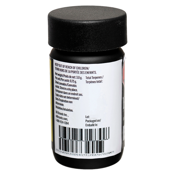 El Blunto - El Bluntito Viva Pre Roll