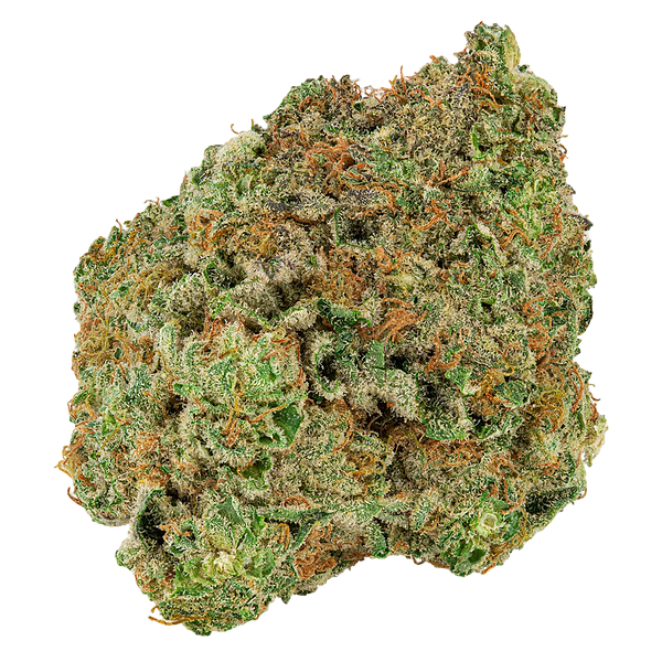 Big Bag O' Buds - Dough Lato