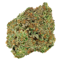 Big Bag O' Buds - Dough Lato
