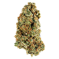 Redecan - Animal Rntz