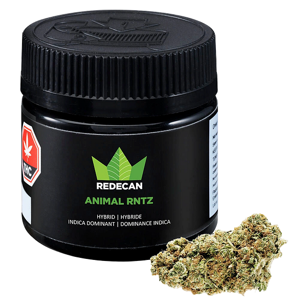 Redecan - Animal Rntz