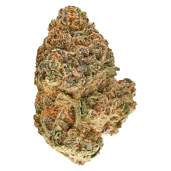 Redecan - Animal Rntz