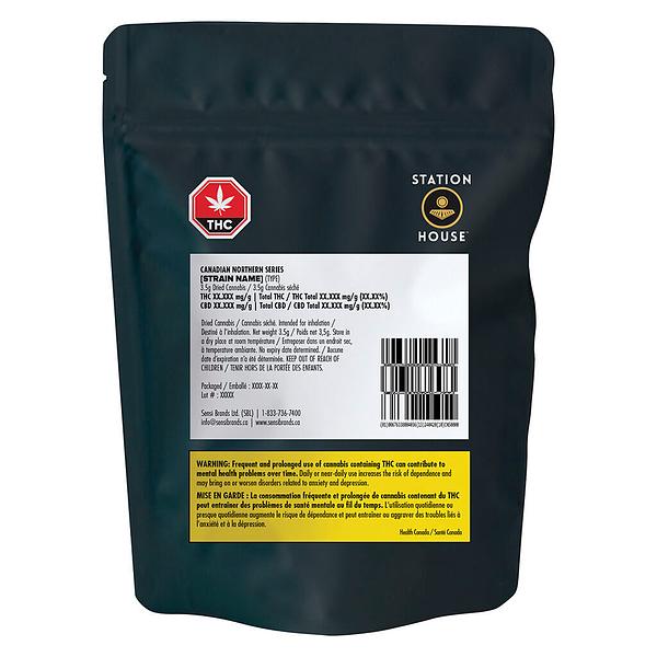 Station House - Canadian Northern Series image 2