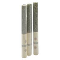 November Rain - Blueberry Blast Pre Roll