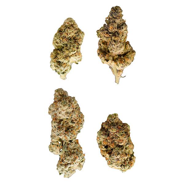 Terp Nerdz - Bag of Nerdz image 1