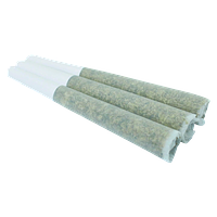 Orchard - Granddaddy Gelatti Pre Roll