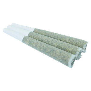Orchard - Granddaddy Gelatti Pre Roll