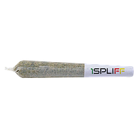 1Spliff - Grape Escape Pre-Roll