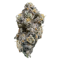 HighXotic - Royal Dive #3: Hindu Glue