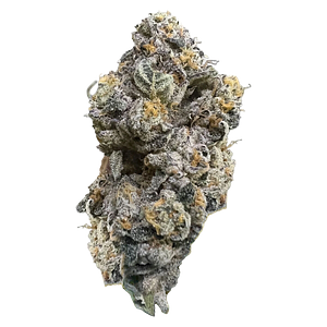 HighXotic - Royal Dive #3: Hindu Glue