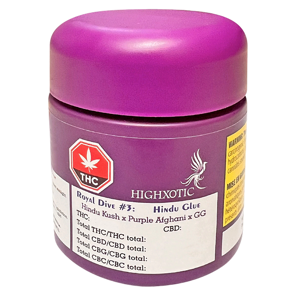 HighXotic - Royal Dive #3: Hindu Glue