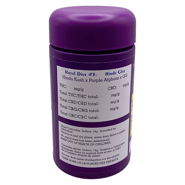 HighXotic - Royal Dive #3: Hindu Glue