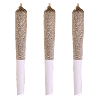 Potluck - Maple Pancakes Pre Roll