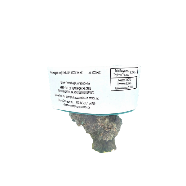 Truro - Jealousy x Apples & Bananas