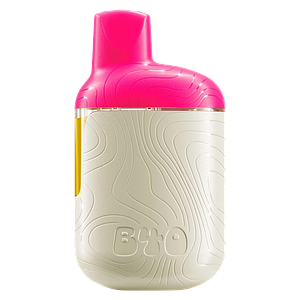 Back Forty - Watermelon Ice Disposable Pen