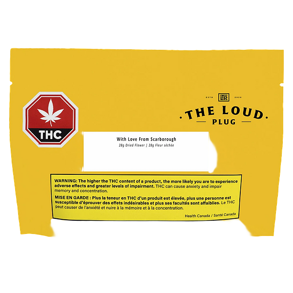 The Loud Plug - With Love from Scarborough - Craft Collective