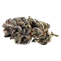 CannJah - Tectonic Truffle