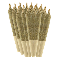 Sheeesh! - Trop Cherry Pre-Roll