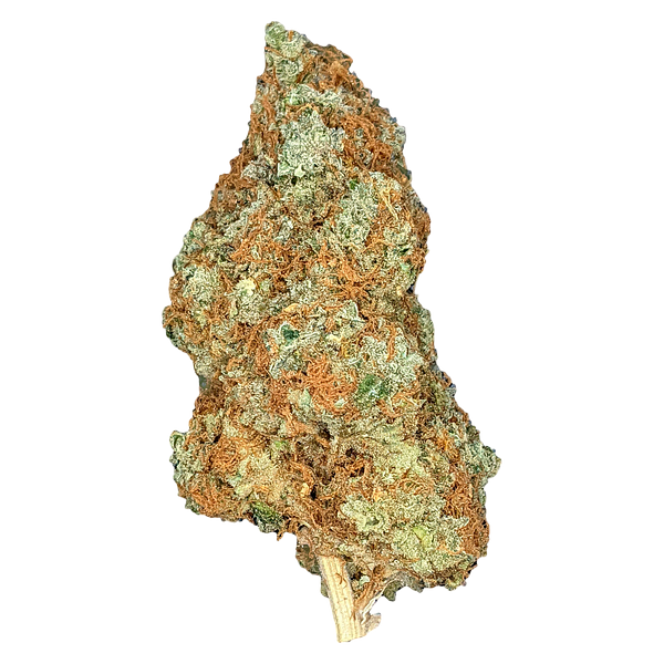 Cannabiomedic - Future Island