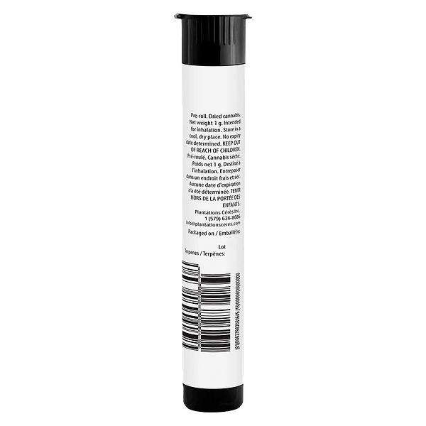 C Space - Slurricane Mint Pre-Roll