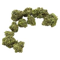 Community c/o Purple Hills - Archives