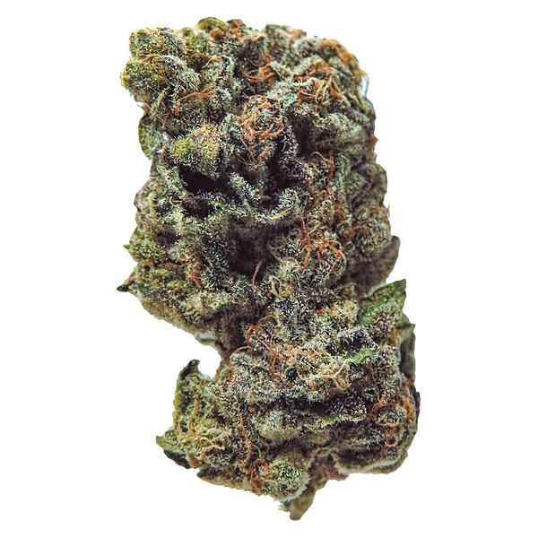 True Fire - Gasolina image 1