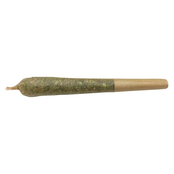 Mailman - Future Island Pre-Roll image 1