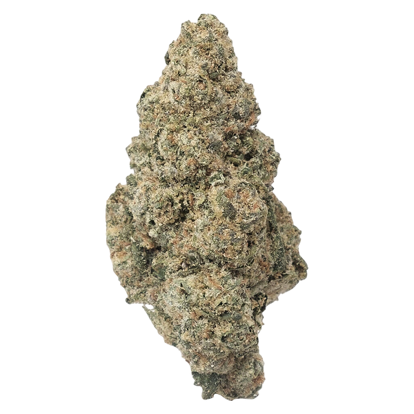 Crooked Dory - AAA+ Sativa