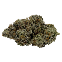 Microcannabi - Grease Monkey