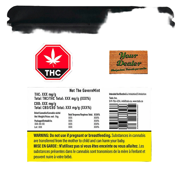 TADU - GovernMint Oasis2